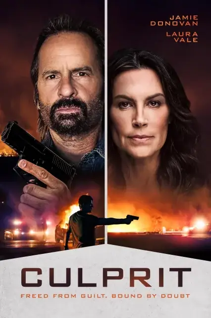 Culprit 2025 Hindi, Audio WEB-DL HD