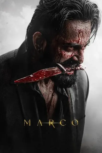 Marco 2024 Hindi, Audio WEB-DL HD