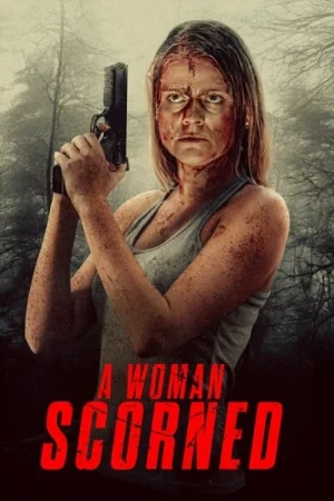 A Woman Scorned 2025 Hindi, Audio WEB-DL HD
