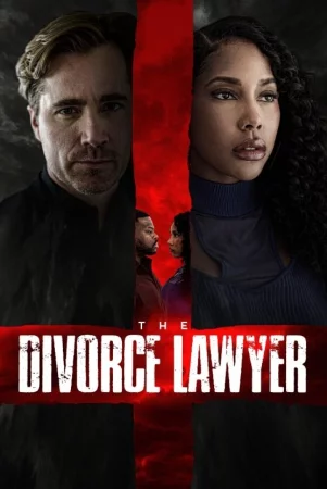 The Divorce Lawyer 2025 Hindi, Audio WEB-DL HD