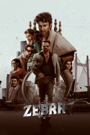 Zebra 2024 Hindi, Audio WEB-DL HD