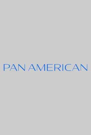Pan American 2025 Hindi, Audio WEB-DL HD