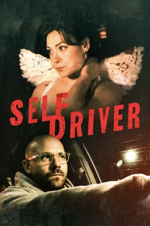 Self Driver 2024 Hindi, Audio WEB-DL HD