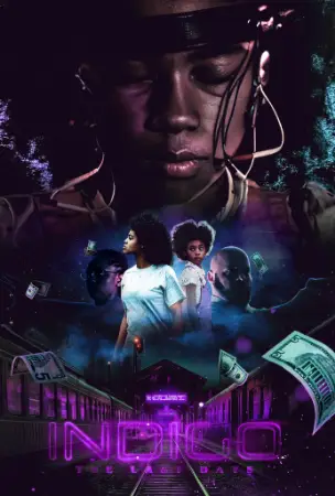 Indigo: The Last Days 2024 Hindi, Audio WEB-DL HD