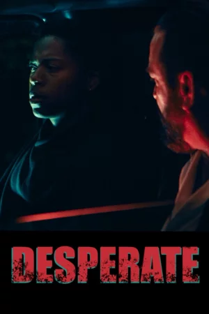 Desperate 2025 Hindi, Audio WEB-DL HD