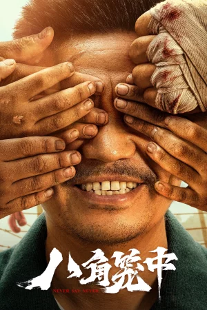 Never Say Never 2023 Hindi Audio WEB-DL HD