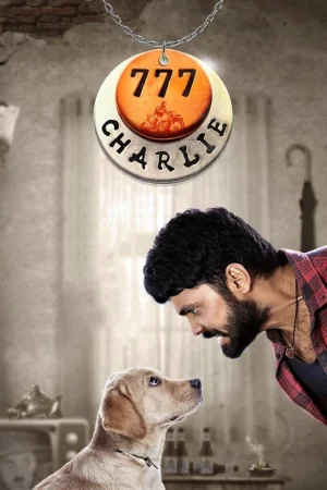 777 Charlie 2022 Hindi, Audio WEB-DL HD