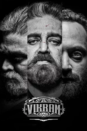 Vikram 2022 Hindi, Audio WEB-DL HD