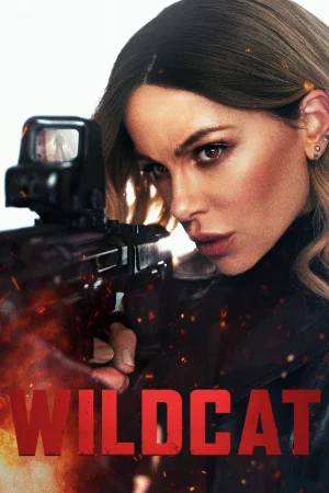 Wildcat 2025 Hindi, Audio WEB-DL HD