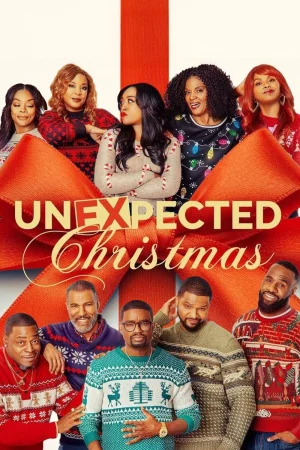 Unexpected Christmas 2025 Hindi, Audio WEB-DL HD