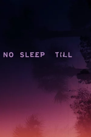 No Sleep Till 2025 Hindi, Audio WEB-DL HD