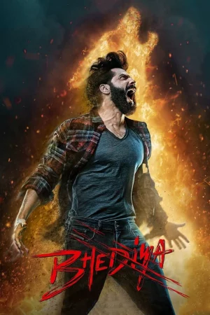 Bhediya 2022 Hindi, Audio WEB-DL HD