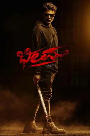 Bheema 2024 Hindi, Audio WEB-DL HD