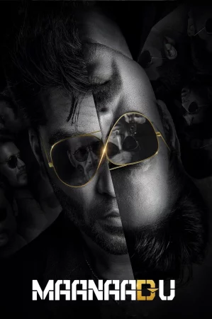 Maanaadu 2021 Hindi, Audio WEB-DL HD