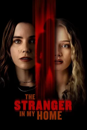 The Stranger in My Home 2025 Hindi, Audio WEB-DL HD
