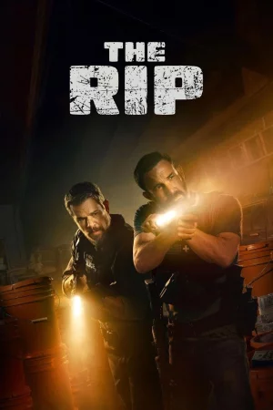 The Rip 2026 Hindi, Audio WEB-DL HD