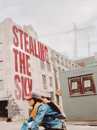 Stealing the Sky 2025 Hindi, Audio WEB-DL HD
