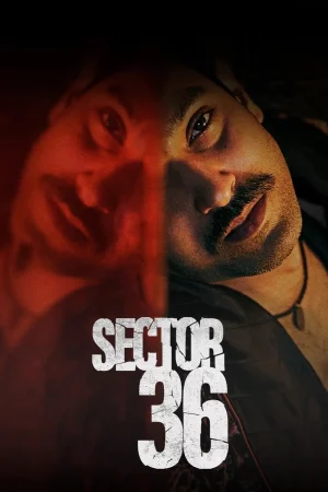 Sector 36 2024 Hindi Audio WEB-DL HD