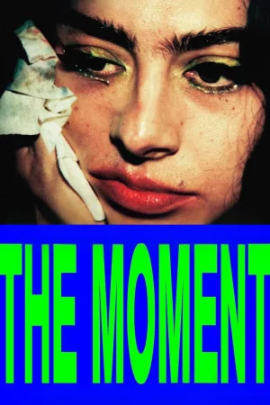 The Moment 2026 Hindi, Audio WEB-DL HD