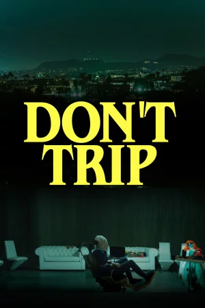 Don't Trip 2025 Hindi Audio WEB-DL HD