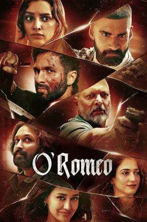 O'Romeo 2026 Hindi, Audio WEB-DL HD