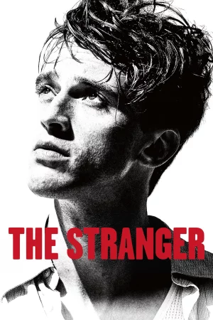 The Stranger 2025 Hindi, Audio WEB-DL HD