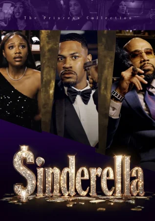 Sinderella 2026 Hindi Audio WEB-DL HD