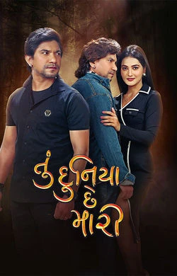 Tu Duniya Chhe Mari 2026 Gujarati, Audio WEB-DL TC