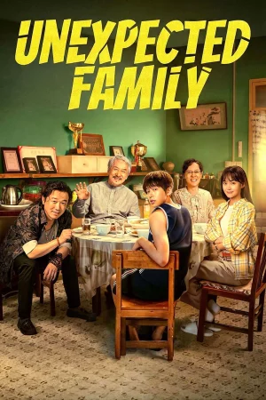 Unexpected Family 2026 Hindi, Audio WEB-DL HD