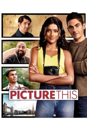 Picture This 2025 Hindi, Audio WEB-DL HD