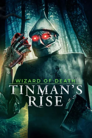 Wizard of Death: Tinman's Rise 2026 Hindi, Audio WEB-DL HD