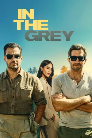 In the Grey 2026 Hindi, Audio WEB-DL HD