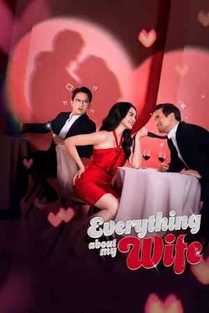 Everything About My Wife 2025 Hindi, Audio WEB-DL HD