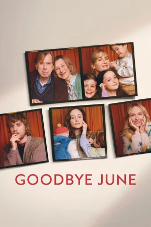 Goodbye June 2025 Hindi, Audio WEB-DL HD