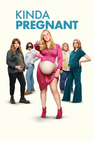 Kinda Pregnant 2025 Hindi, Audio WEB-DL HD