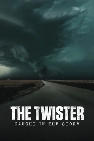 The Twister: Caught in the Storm 2025 Hindi, Audio WEB-DL HD