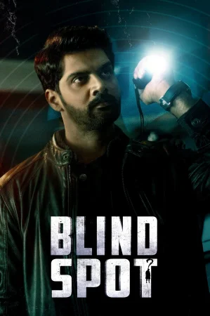 Blind Spot 2025 Hindi, Audio WEB-DL HD