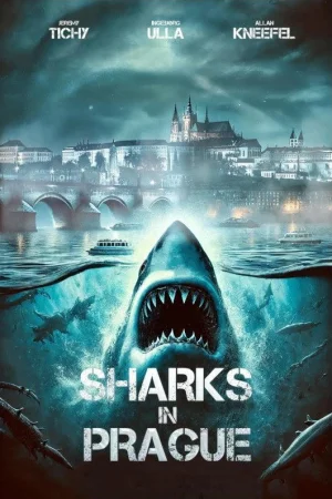 Sharks In Prague 2025 Hindi Audio WEB-DL HD