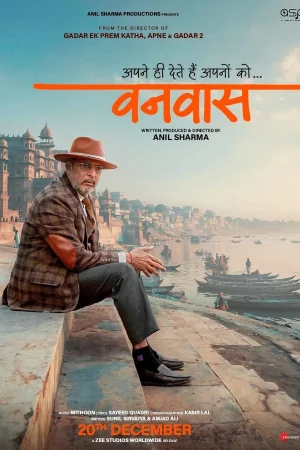Vanvaas 2024 Hindi, Audio WEB-DL HD