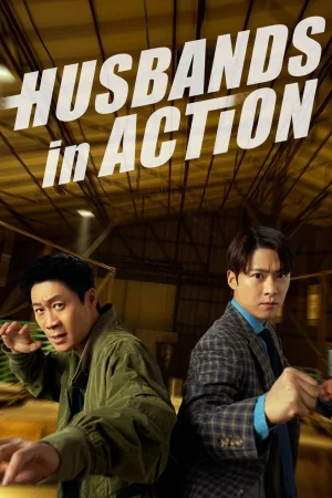 Husbands in Action 2026 Hindi, Audio WEB-DL HD