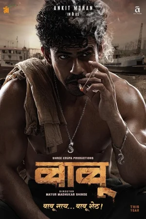 Babu 2024 Hindi, Audio WEB-DL HD