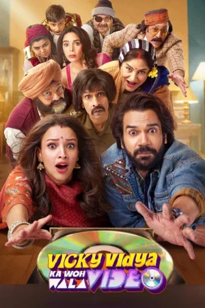 Vicky Vidya Ka Woh Wala Video 2024 Hindi, Audio WEB-DL HD