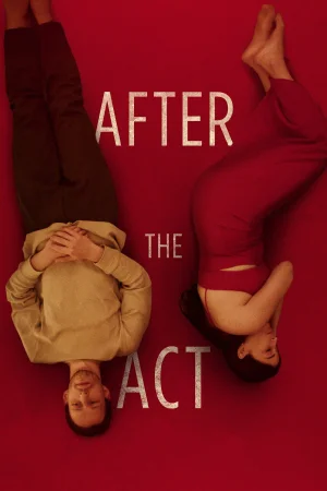After the Act 2025 Hindi Audio WEB-DL HD