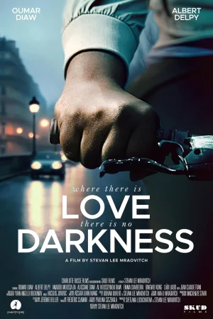 Where There Is Love, There Is No Darkness 2025 Hindi, Audio WEB-DL HD